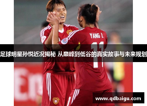 足球明星孙悦近况揭秘 从巅峰到低谷的真实故事与未来规划