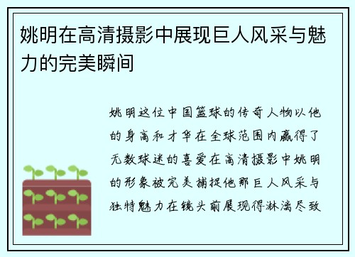 姚明在高清摄影中展现巨人风采与魅力的完美瞬间