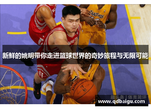 新鲜的姚明带你走进篮球世界的奇妙旅程与无限可能