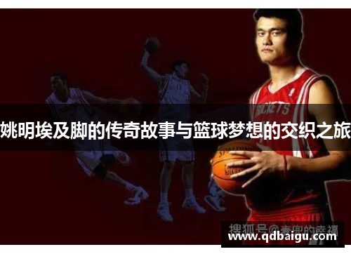 姚明埃及脚的传奇故事与篮球梦想的交织之旅