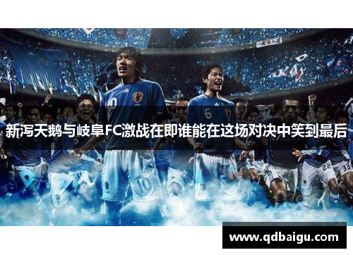 新泻天鹅与岐阜FC激战在即谁能在这场对决中笑到最后